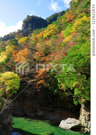 奈良縣川崎川谷的秋葉 121622633