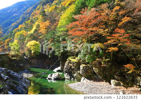 奈良縣川崎川谷的秋葉 121622635