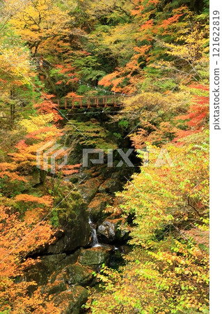 Autumn leaves at Mitarai Valley, Tenkawa Village, Nara Prefecture 121622819