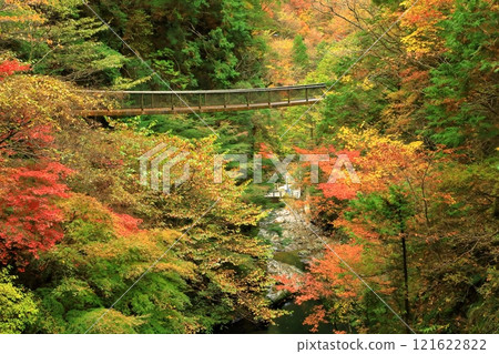 Autumn leaves at Mitarai Valley, Tenkawa Village, Nara Prefecture 121622822
