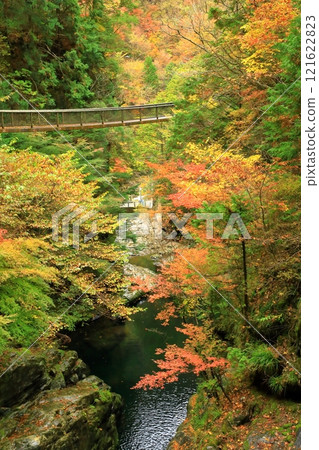 Autumn leaves at Mitarai Valley, Tenkawa Village, Nara Prefecture 121622823