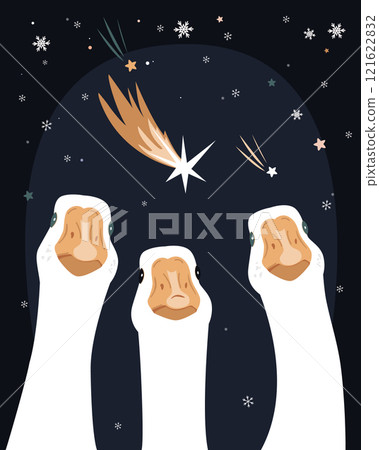 Three surprised goose birds and snow cartoon shooting stars in the sky isolated illustration. Merry Christmas card. Comet vector 121622832