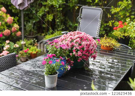 A table with chairs is in a lovely garden full of flowers 121623436