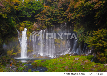 Shiraito Falls is one of the most beautiful waterfalls in Japan. The water flows from the melting snow on Mt. Fuji. It is most beautiful in late November. Shizuoka Prefecture, Japan Shiraito Falls is one of the most beautiful waterfalls in Japan. The water flows from the melting snow on Mt. Fuji. It is most beautiful in late November. Shizuoka Prefecture, Japan 121624309