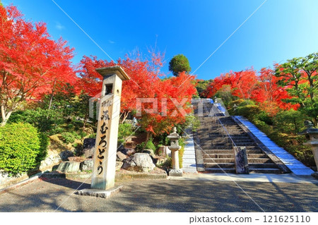 [Kyoto Prefecture] Autumn leaves at Mimuroto Temple on a clear day 121625110