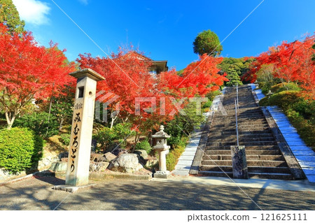 [Kyoto Prefecture] Autumn leaves at Mimuroto Temple on a clear day 121625111