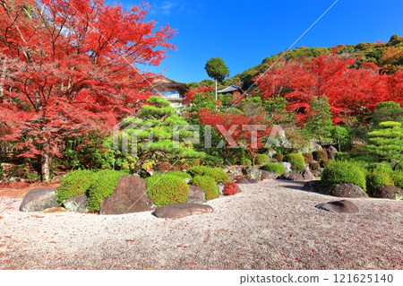 [京都府]三室戶寺的假山庭園和秋葉（晴天） 121625140