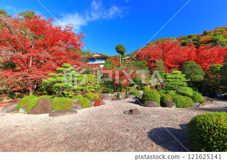 [京都府]三室戶寺的假山庭園和秋葉（晴天） 121625141