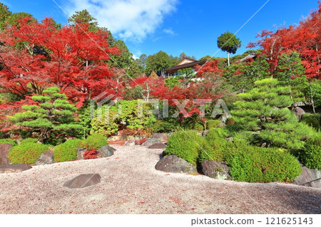 [Kyoto Prefecture] The rock garden and autumn leaves of Mimuroto Temple on a clear day 121625143