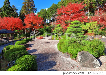 [京都府]三室戶寺的假山庭園和秋葉（晴天） 121625145
