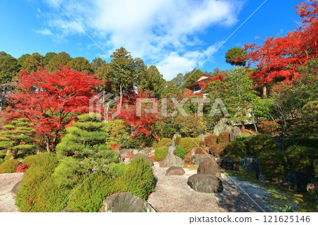 [Kyoto Prefecture] Autumn leaves at Mimuroto Temple on a clear day 121625146