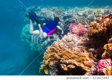 Woman snorkeling in clear water over vivid coral reef Woman snorkeling in clear water over vivid coral reef 121625497