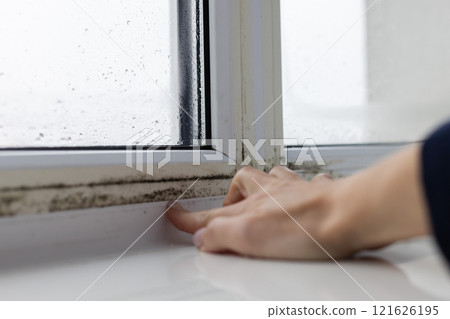Woman touching the wet window with black mouldy fungus. Closeup. 121626195