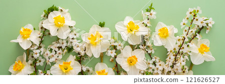 Festive background with spring flowers Festive background with spring flowers 121626527