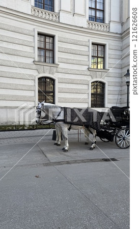 Elegant Horse and Carriage In Front of Historic Building in Vienna 121626608