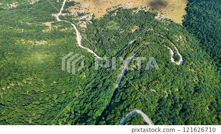 Winding road snaking through lush green forest aerial view Winding road snaking through lush green forest aerial view 121626710