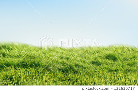 Realistic Green Grass Blue Sky Spring Nature Landscape. Nature Landscape Meadow Background. Vector Illustration 121626717