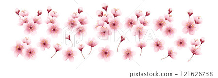 Realistic Cherry Blossom Flowers Set Isolated on White Background. Vector Illustration Realistic Cherry Blossom Flowers Set Isolated on White Background. Vector Illustration 121626738
