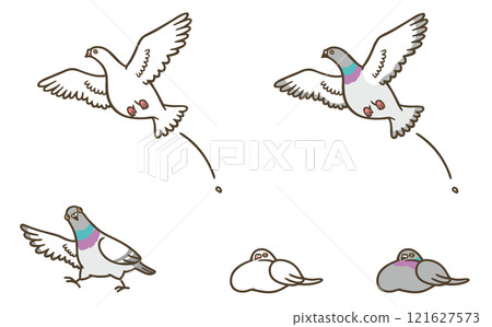各種鴿子 121627573