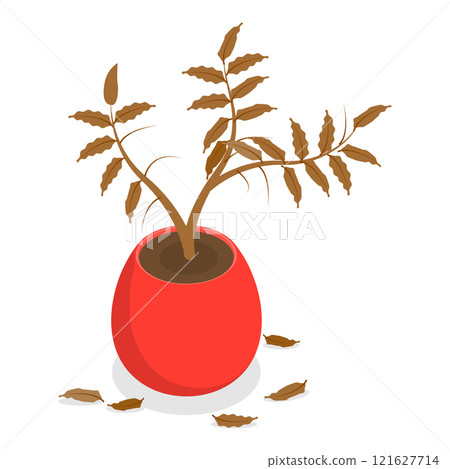 3D Isometric Flat Vector Set of Withered Houseplants In Pots, Fading Indoor Plants. Item 2 121627714