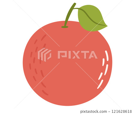 Fruit grapefruit in cartoon hand drawn simple style. Editable variable color Fruit grapefruit in cartoon hand drawn simple style. Editable variable color 121628618