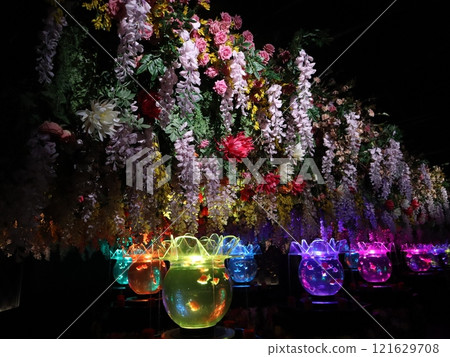 《2024 Autumn Goldfish Show》An exquisite combination of goldfish, lights, and autumn leaves 121629708