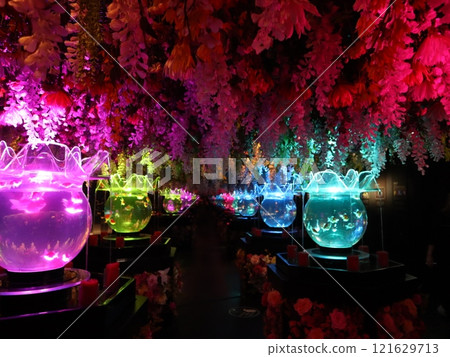 【2024秋季金魚展】金魚、燈光、秋葉的精緻組合 121629713