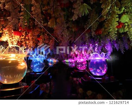 【2024秋季金魚展】金魚、燈光、秋葉的精緻組合 121629714