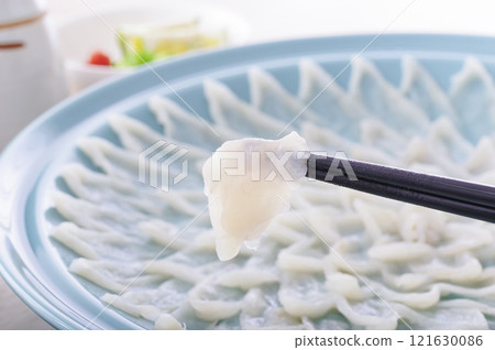 Delicious looking puffer fish sashimi platter (with chopsticks raised) 121630086