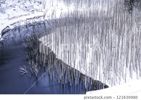 Flooded forest in Yunishigawa in winter 121630980
