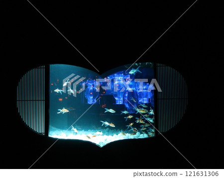 《2024 Autumn Goldfish Show》An exquisite combination of goldfish, lights, and autumn leaves 《2024 Autumn Goldfish Show》An exquisite combination of goldfish, lights, and autumn leaves 121631306