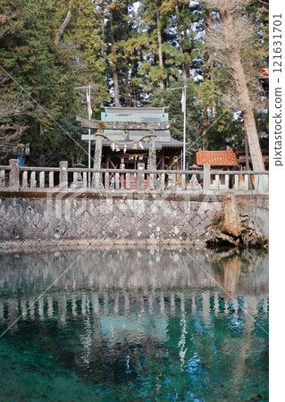 Yamaguchi Mine Beppu Benten Pond 2025⑤ Yamaguchi Mine Beppu Benten Pond 2025⑤ 121631701