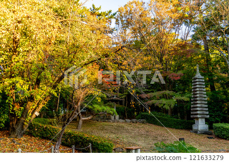 [平塚市綜合公園] 被紅葉包圍的夕陽花園（神奈川縣平塚市） 121633279