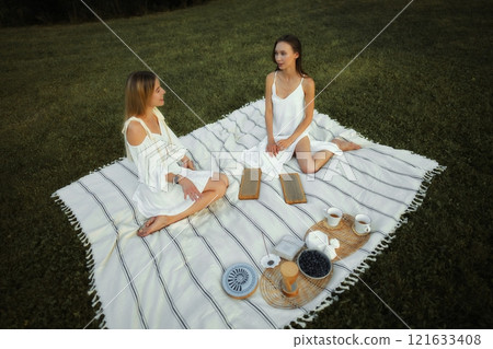 Friends enjoy a picnic on a sunny day in a lush green park 121633408