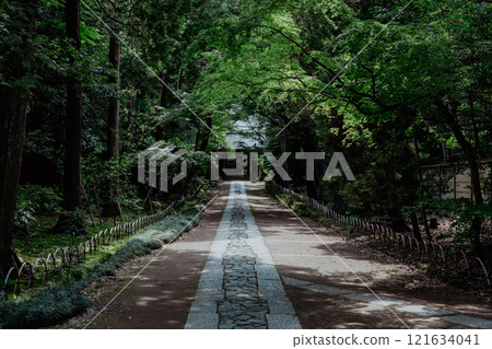 The approach of Kamakura Kotobukuji The approach of Kamakura Kotobukuji 121634041