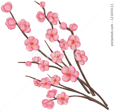 Cherry blossom Cherry blossom 121634111