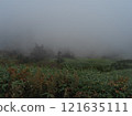 Shibu Pass shrouded in mist 121635111