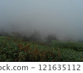 Shibu Pass shrouded in mist 121635112