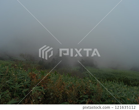 Shibu Pass shrouded in mist 121635112