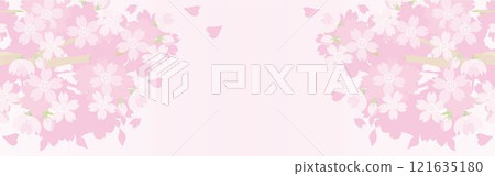 Banner Spring Sakura Cherry Blossoms Sakura Flower Frame Background Copy Space Illustration Material Banner Spring Sakura Cherry Blossoms Sakura Flower Frame Background Copy Space Illustration Material 121635180