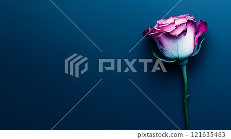 A single neon pink rose glows against a solid black background, creating a dark floral aesthetic 121635483