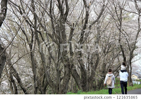 A stroll around the ruins of Sengoku warlord Inaba Ittetsu's castle (Sone Castle) - 39 121635865