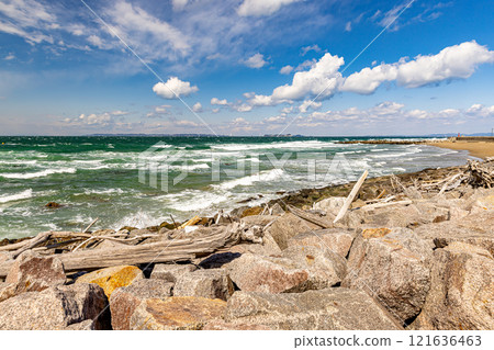 愛知縣：從小路濱海灘眺望碧海藍天 121636463