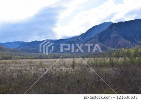 Senjogahara 121636633