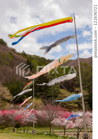 鯉魚飄帶游泳在春天的天空 121636721