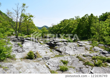 Nagatoro的岩層 121636749