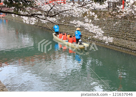 櫻花盛開的水門川漫步（岐阜縣大垣市）107 121637046