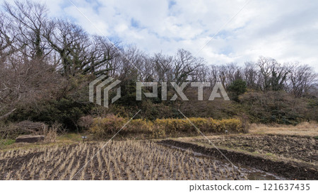 Primitive winter scenery 121637435