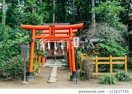 Red torii gate of Inari Shrine at Mito Hachimangu Shrine (Mito City, Ibaraki Prefecture) Red torii gate of Inari Shrine at Mito Hachimangu Shrine (Mito City, Ibaraki Prefecture) 121637785