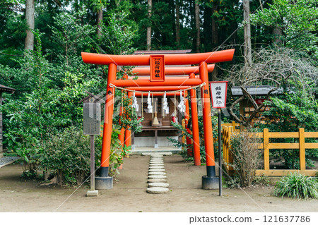 Red torii gate of Inari Shrine at Mito Hachimangu Shrine (Mito City, Ibaraki Prefecture) Red torii gate of Inari Shrine at Mito Hachimangu Shrine (Mito City, Ibaraki Prefecture) 121637786
